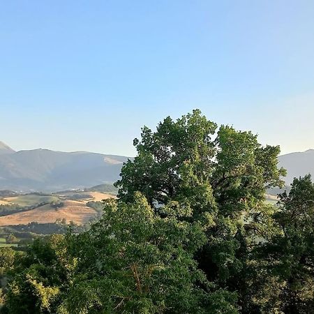 Pigno, Appartamento In Campagna Cagli Extérieur photo